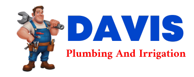 Trusted plumber in DEADWOOD